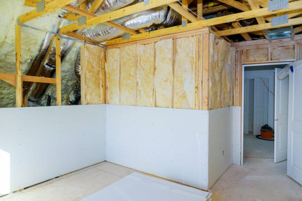 Best Batt and Roll Insulation  in Rancho Alegre, TX